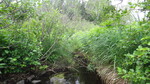 Culvert Crossing, Clayton Brook, Ashland, Maine