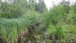 Culvert Crossing, Clayton Brook, Ashland, Maine