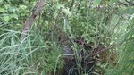 Multiple Culvert Crossing, Clayton Brook, Ashland, Maine
