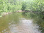 Culvert Crossing, Dudley Brook, Castle Hill, Maine