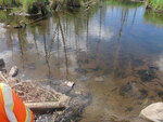Culvert Crossing, Dudley Brook, Castle Hill, Maine
