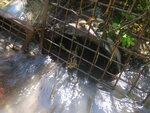 Multiple Culvert Crossing, Mapleton, Maine