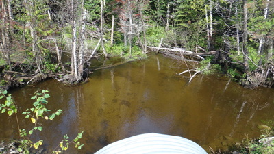 image preview