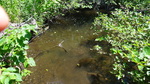 Culvert Crossing, Mapleton, Maine