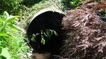 Culvert Crossing, Mapleton, Maine