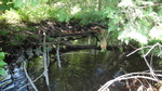 Culvert Crossing, Mapleton, Maine