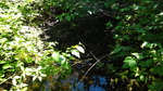 Culvert Crossing, Mapleton, Maine