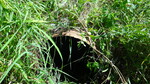 Culvert Crossing, Mapleton, Maine