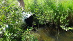 Culvert Crossing, Nashville Plt, Maine