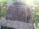 Culvert Crossing, Libby Brook, Castle Hill, Maine