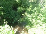 Culvert Crossing, Mapleton, Maine