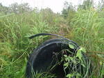 Culvert Crossing, Presque Isle, Maine