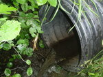 Culvert Crossing, Presque Isle, Maine