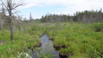 Culvert Crossing, Squapan Inlet, Castle Hill, Maine
