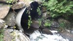 Culvert Crossing, Dudley Brook, Chapman, Maine