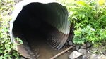 Culvert Crossing, Grendell Brook, Chapman, Maine