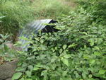 Culvert Crossing, Hughes Brook, Chapman, Maine