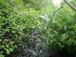 Culvert Crossing, Hughes Brook, Chapman, Maine