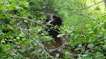 Culvert Crossing, Ashland, Maine
