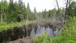 Culvert Crossing, Ashland, Maine