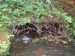 Multiple Culvert Crossing, Echo Lake, Presque Isle, Maine