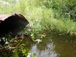 Culvert Crossing, Stewart Brook, Hodgdon, Maine