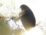 Culvert Crossing, Stewart Brook, Hodgdon, Maine