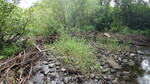 Culvert Crossing, Chapman, Maine