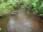 Culvert Crossing, Garfield Plt, Maine