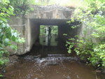 Culvert Crossing, Garfield Plt, Maine