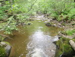 Culvert Crossing, Ashland, Maine