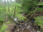 Culvert Crossing, Castle Hill, Maine