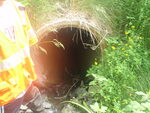 Culvert Crossing, Castle Hill, Maine