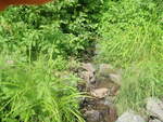 Culvert Crossing, Castle Hill, Maine
