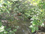 Multiple Culvert Crossing, Masardis, Maine