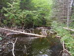 Unknown Crossing, Squapan Inlet, T11 R4 WELS, Maine