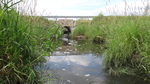 Culvert Crossing, Presque Isle, Maine