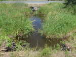Multiple Culvert Crossing, Hanson Brook, Presque Isle, Maine