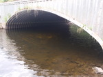 Culvert Crossing, Caribou Stream, Woodland, Maine