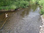 Culvert Crossing, Caribou Stream, Woodland, Maine