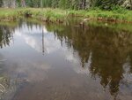 Culvert Crossing, Butterfield Brook, Caswell, Maine