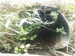 Culvert Crossing, Coloney Brook, Fort Fairfield, Maine