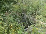 Culvert Crossing, Coloney Brook, Fort Fairfield, Maine