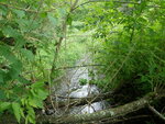 Culvert Crossing, Fort Fairfield, Maine