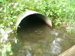 Culvert Crossing, Fort Fairfield, Maine
