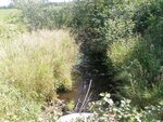 Culvert Crossing, Easton, Maine