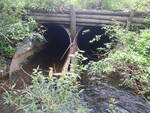 Culvert Crossing, Sealander Brook, Woodland, Maine