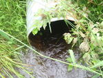 Culvert Crossing, Sealander Brook, New Sweden, Maine