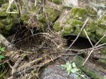 Multiple Culvert Crossing, Ginn Brook, Presque Isle, Maine