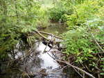 Multiple Culvert Crossing, Ginn Brook, Presque Isle, Maine